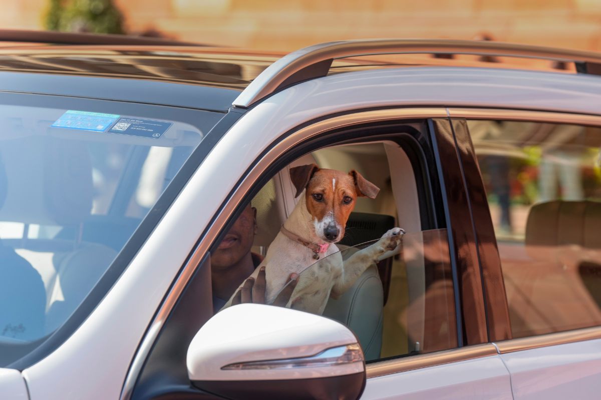 Parliament Winter Session