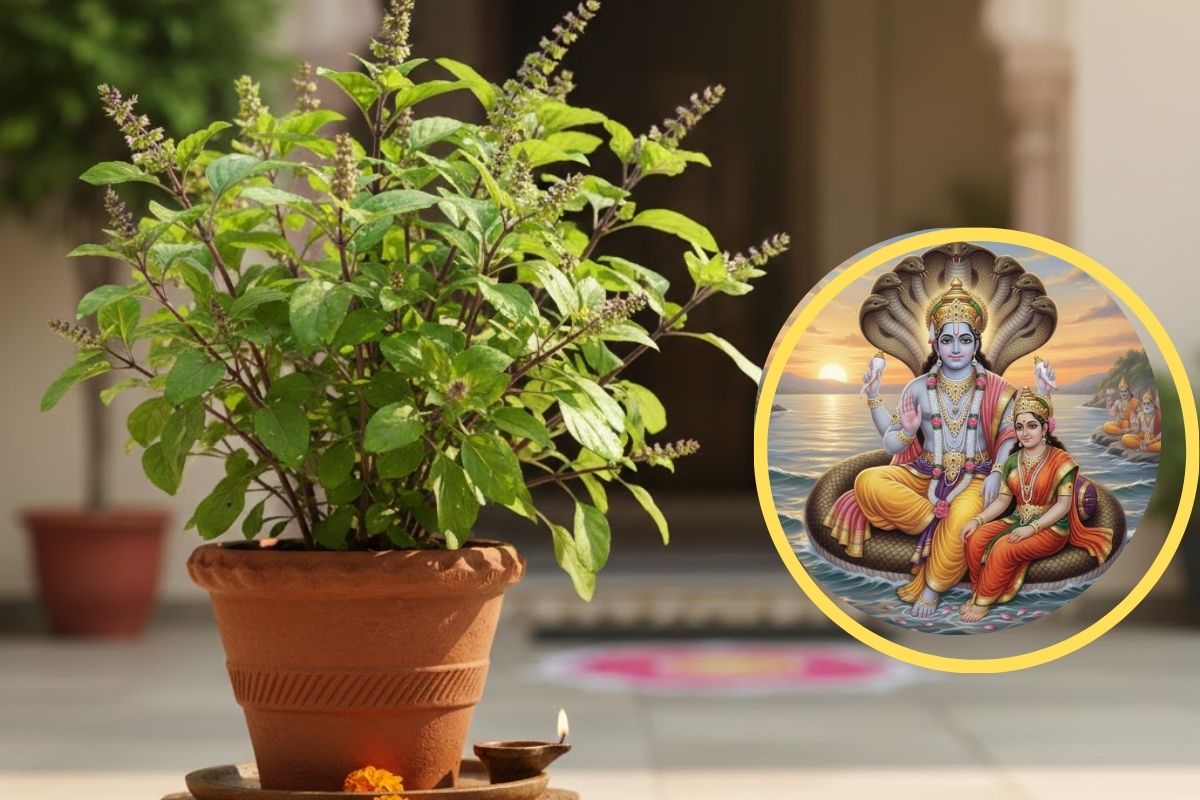 Saphala Ekadasi Remedies with Tulsi