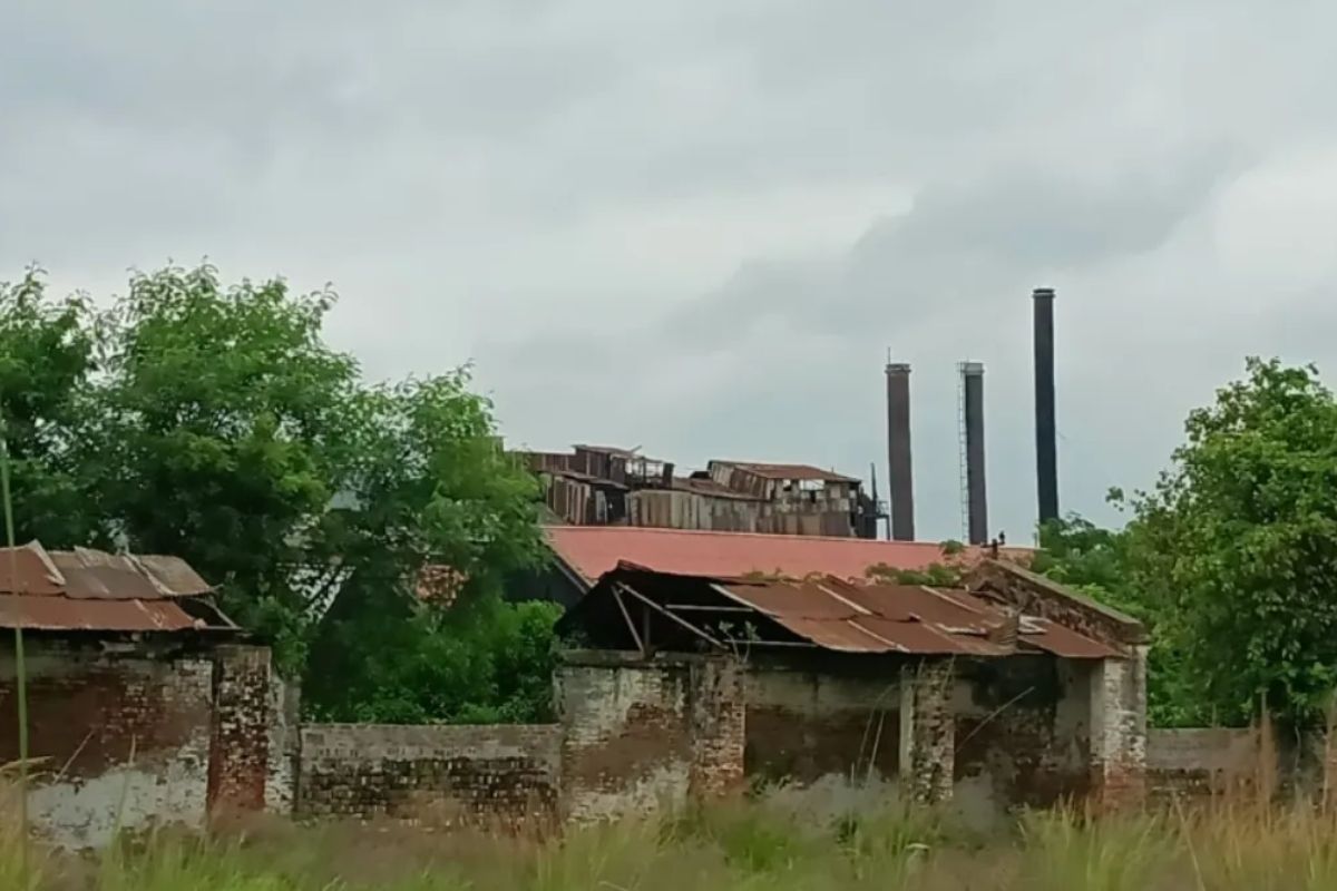 1932 से चल रही सासामुसा चीनी मिल पर संकट, किसानों ने छेड़ा आंदोलन, कर्नाटक से क्या है कनेक्शन