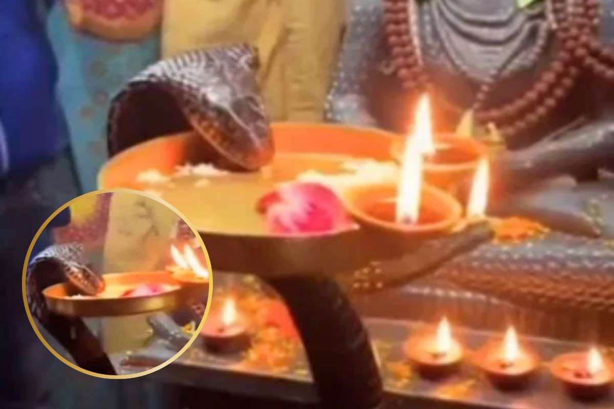 Snake AI Viral Video