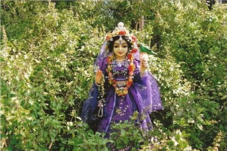 Tulsi Chalisa Aarti: मोक्षदा एकादशी पर आज करें तुलसी चालीसा का पाठ, आरती- जय जय तुलसी माता…