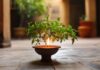Tulsi Pujan Diwas 2025: संकट से पहले संकेत देती हैं तुलसी माता, जानें पूजा का महत्व और विधि Tulsi Pujan Diwas 2025