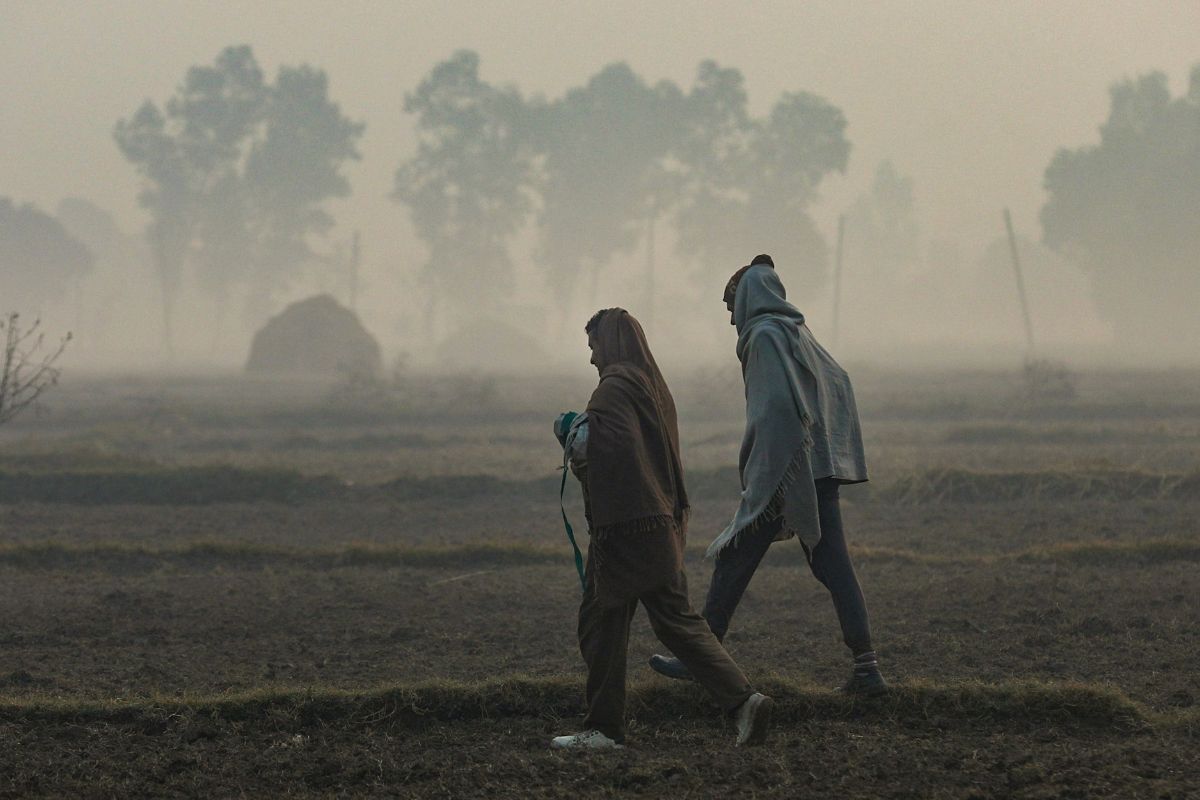 Kal Ka Mausam: भीषण सर्दी के बीच शीतलहर का प्रकोप, कोहरे ने और बढ़ाई परेशानी, जानें देशभर के मौसम का हाल 2 Weather Forecast Pti Image 1 2