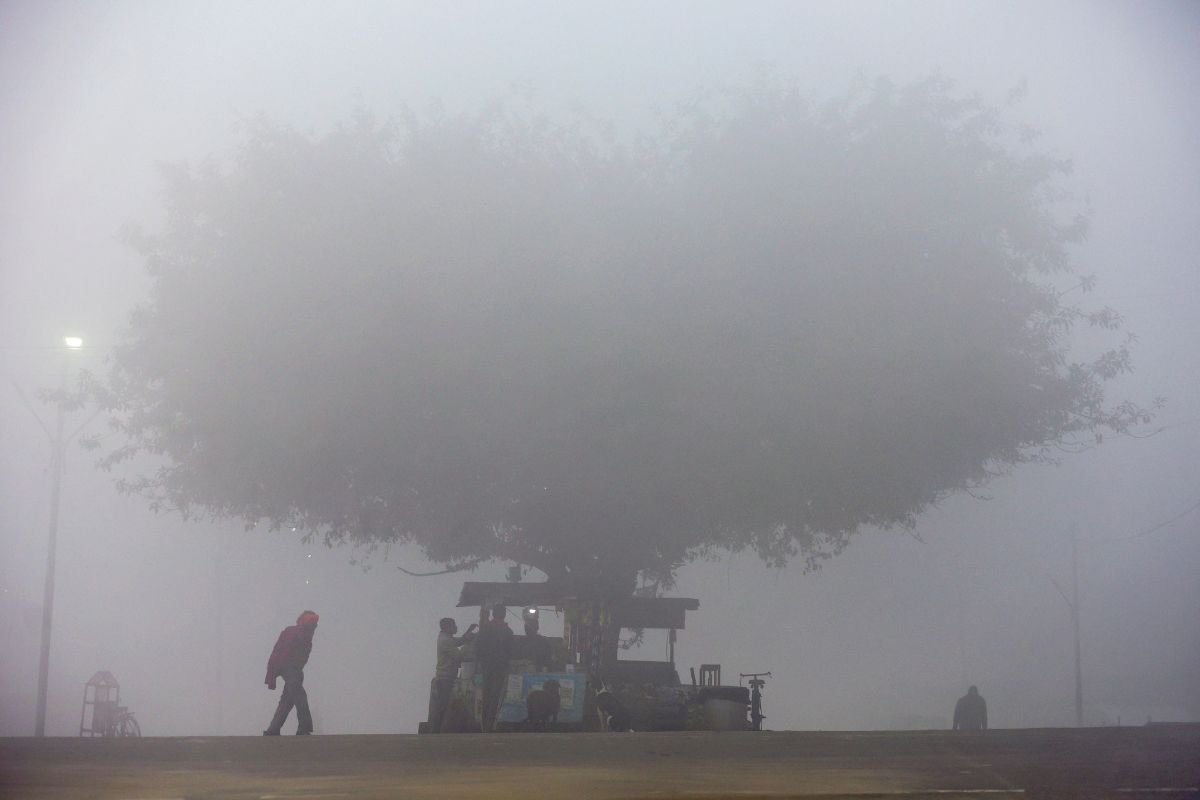 Cold Alert: अगले 72 घंटे में घने से बहुत घना कोहरा, दिल्ली-यूपी समेत इन राज्यों में कोल्ड अलर्ट 6 Weather News 4