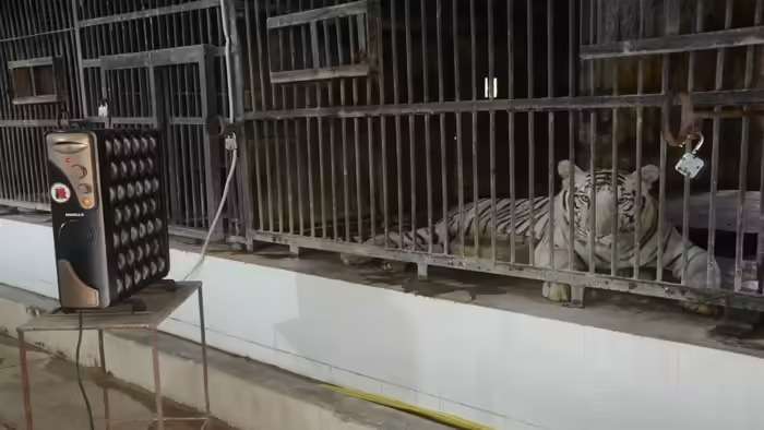 Whatsapp Image 2025 12 20 At 1.22.57 Pm