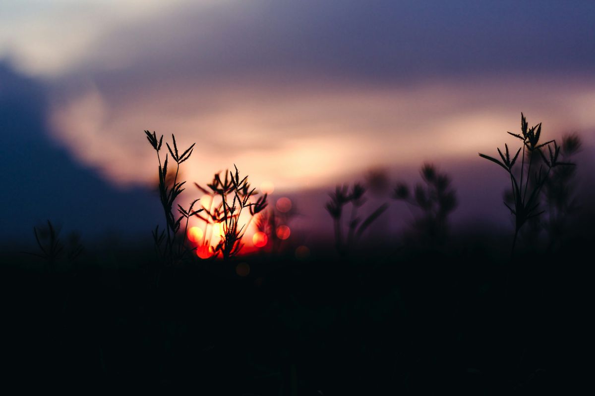 Winter Solstice 2025