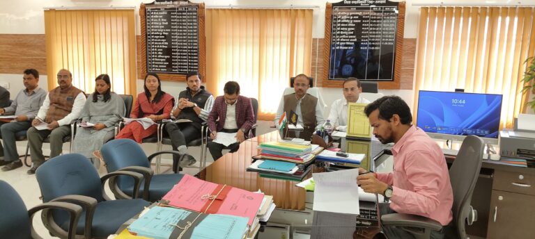 नीलामी के लंबित मामलों को जल्द निष्पादित करने का डीएम ने दिया निर्देश