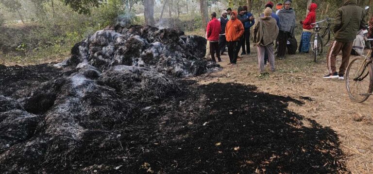 बसडीहां के चार किसानों का धान जलकर राख