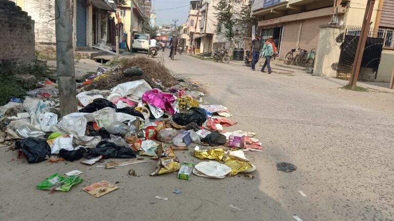 सड़क किनारे गंदगी का अंबार