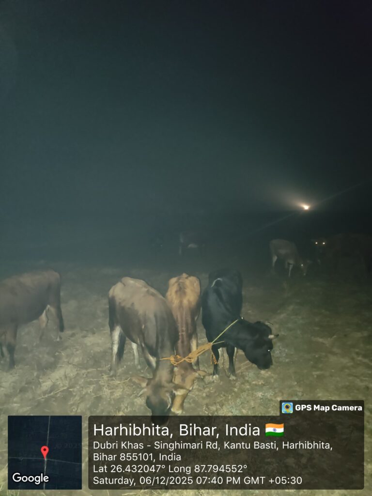 एसएसबी ने 15 मवेशियों को किया जब्त
