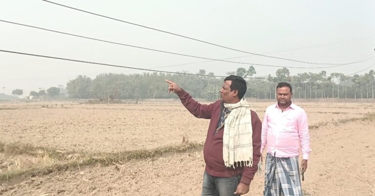 खनुवां बहियार में 11 हजार हाईटेंशन तार खेत में झूका