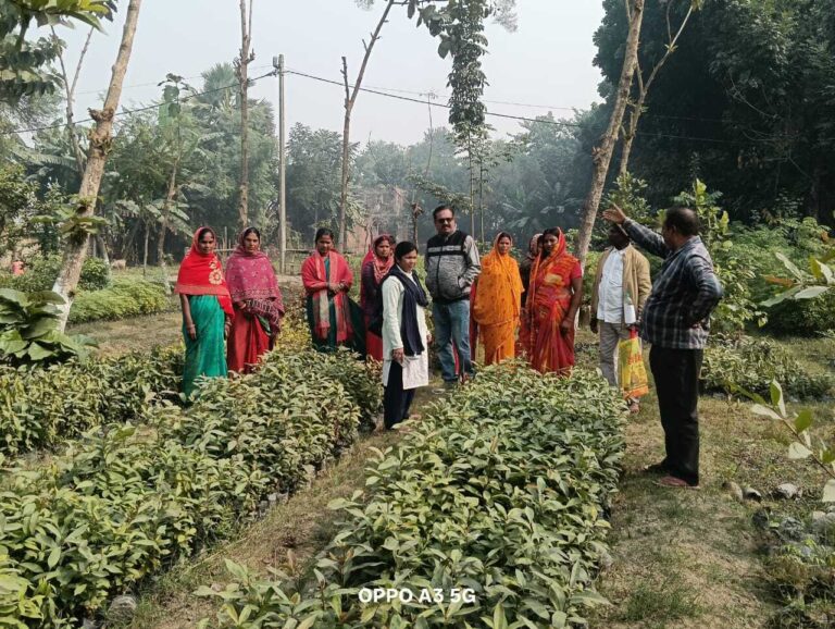 बीडीओ ने नौरंगा गांव का भ्रमण कर मॉडल किचेन गार्डन का लिया जायजा
