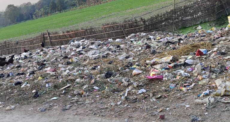 तुर्की मुख्य सड़क किनारे कचरा का लगा है अंबार