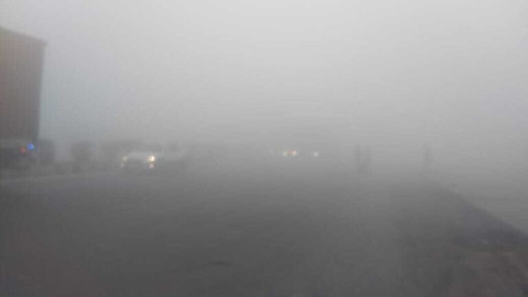 घने कोहरे की चादर में लिपटा रहा दुर्गावती का पूरा इलाका