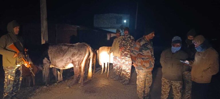 नेपाल से तस्करी कर लाये जा रहे 9 मवेशी जब्त, तस्कर फरार