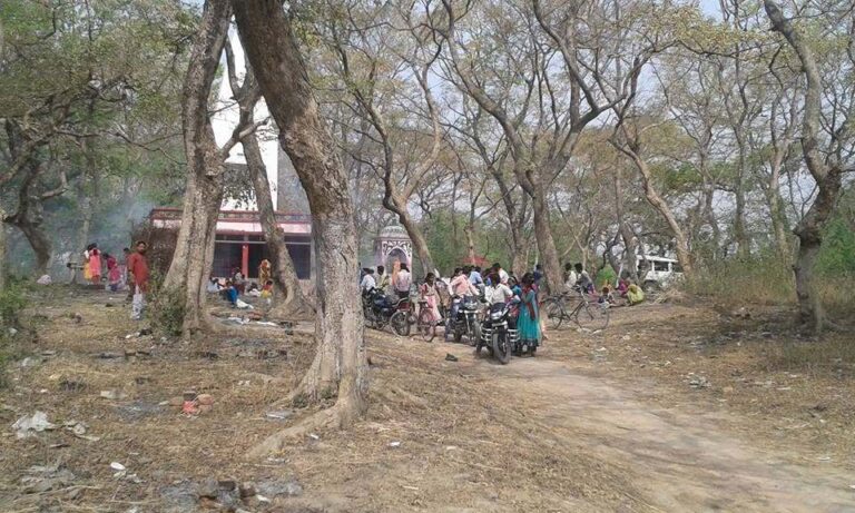 भदसी जंगल : प्रकृति की गोद में पिकनिक मनाने की तैयारी, नये साल पर उमड़ेगी भीड़