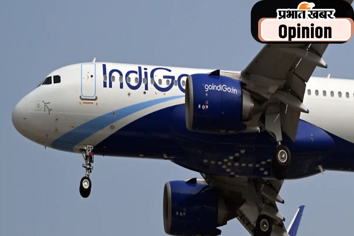 indigo airlines crisis