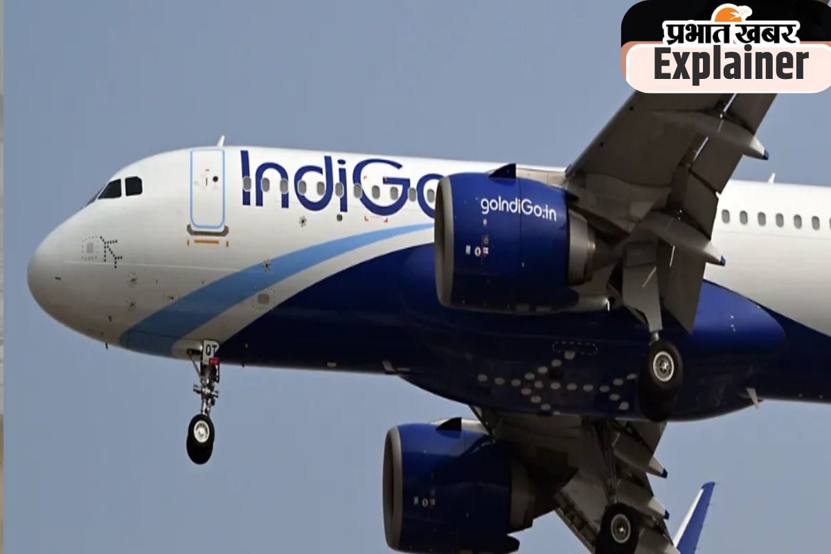 indigo flight