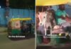 Viral Video: ऑटो में राजा की तरह घूमता दिखा बछड़ा, वीडियो देख लोगों की आंखें फटी की फटी रह गयी Viral Video Calf Ride In Autorickshaw