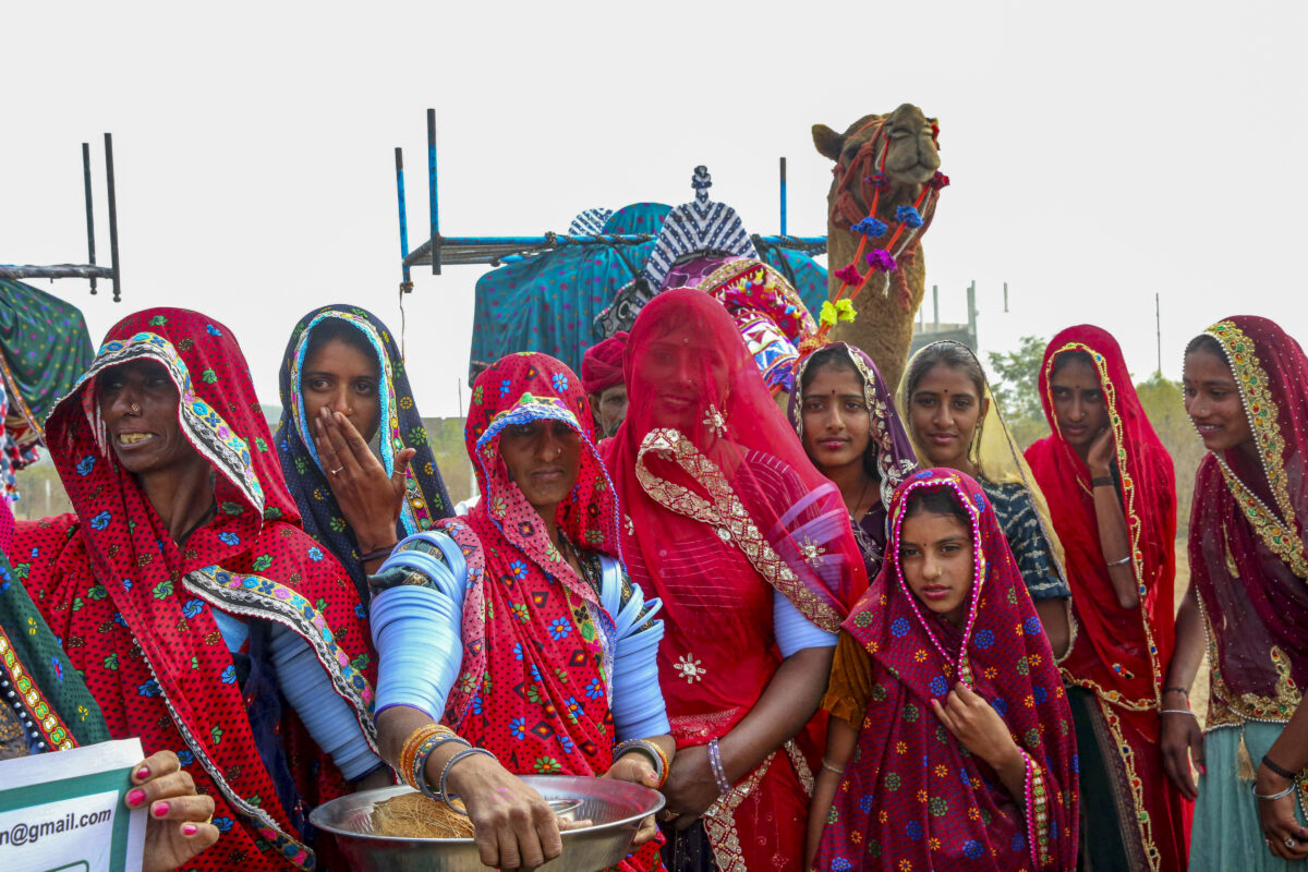 Rajasthan Weather: राजस्थान में भयंकर सर्दी, न्यूनतम तापमान में आएगी और कमी, कोल्ड वेव से बढ़ेगी परेशानी 7 03011 Pti01 03 2026 000180A