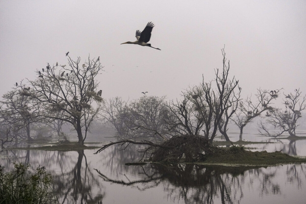 Rajasthan Weather: राजस्थान में भयंकर सर्दी, न्यूनतम तापमान में आएगी और कमी, कोल्ड वेव से बढ़ेगी परेशानी 8 06011 Pti01 06 2026 000324B