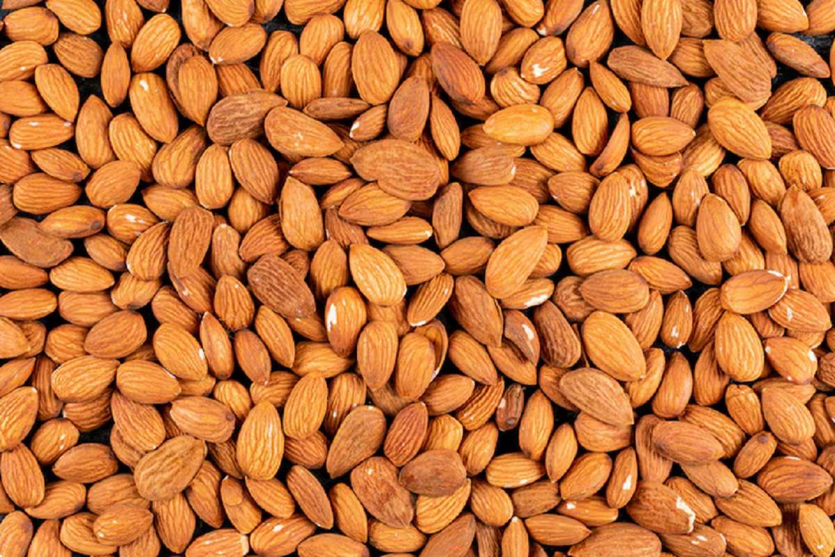 दिमाग में ‘एटम बम’ फोड़ देंगे इन ड्राई फ्रूट्स के दाम, कीमत जानकर रह जाएंगे हैरान 4 Almond
