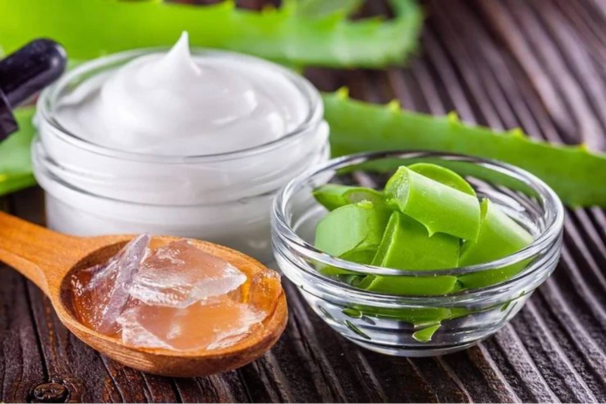 Aloe Vera For Strong And Shiny Hair: एलोवेरा को बालों में कैसे लगाना चाहिए? जानें सही तरीका 2 बालों में एलोवेरा लगाने का तरीका (How To Use Aloe Vera For Strong And Shiny Hair)