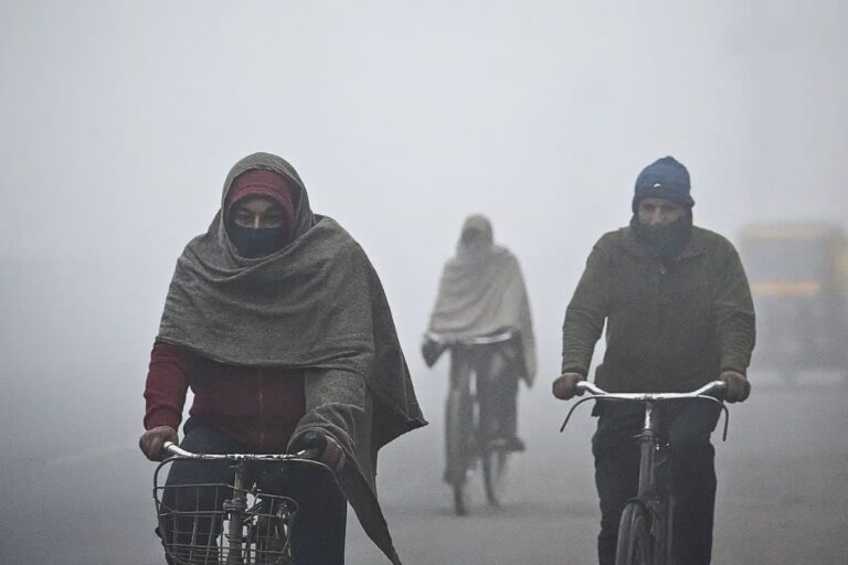 10-12 Km/h की रफ्तार से चलेगी पछुआ हवा, अगले सात दिन तक रहेगा ठंड का प्रकोप  