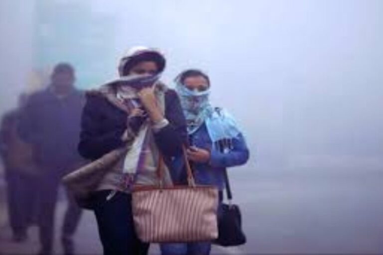 Bihar Weather Alert: बर्फीली हवाओं ने बढ़ाई कनकनी, मुजफ्फरपुर बना बिहार का शिमला, 19 जिलों में कोल्ड डे की चेतावनी