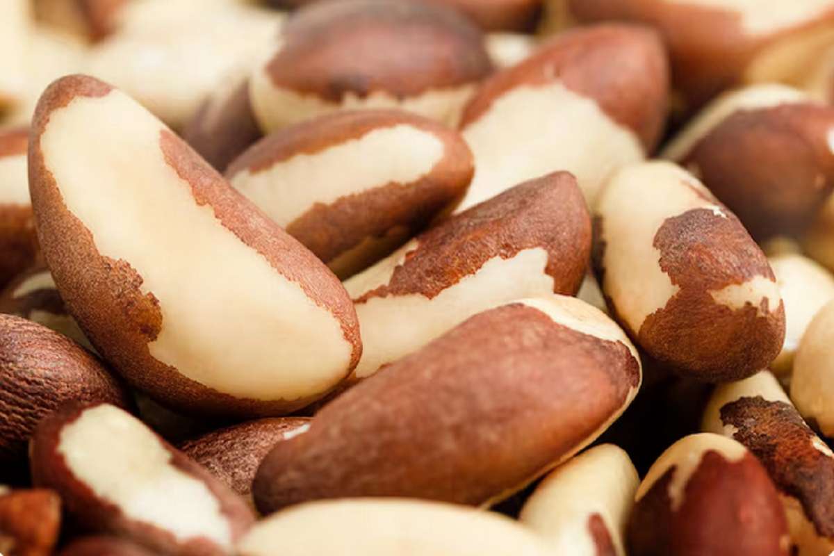 दिमाग में ‘एटम बम’ फोड़ देंगे इन ड्राई फ्रूट्स के दाम, कीमत जानकर रह जाएंगे हैरान 8 Brazil Nuts
