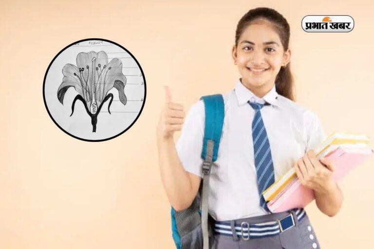 बायोलॉजी बोर्ड एग्जाम का Secret! डायग्राम सही तो स्कोर High