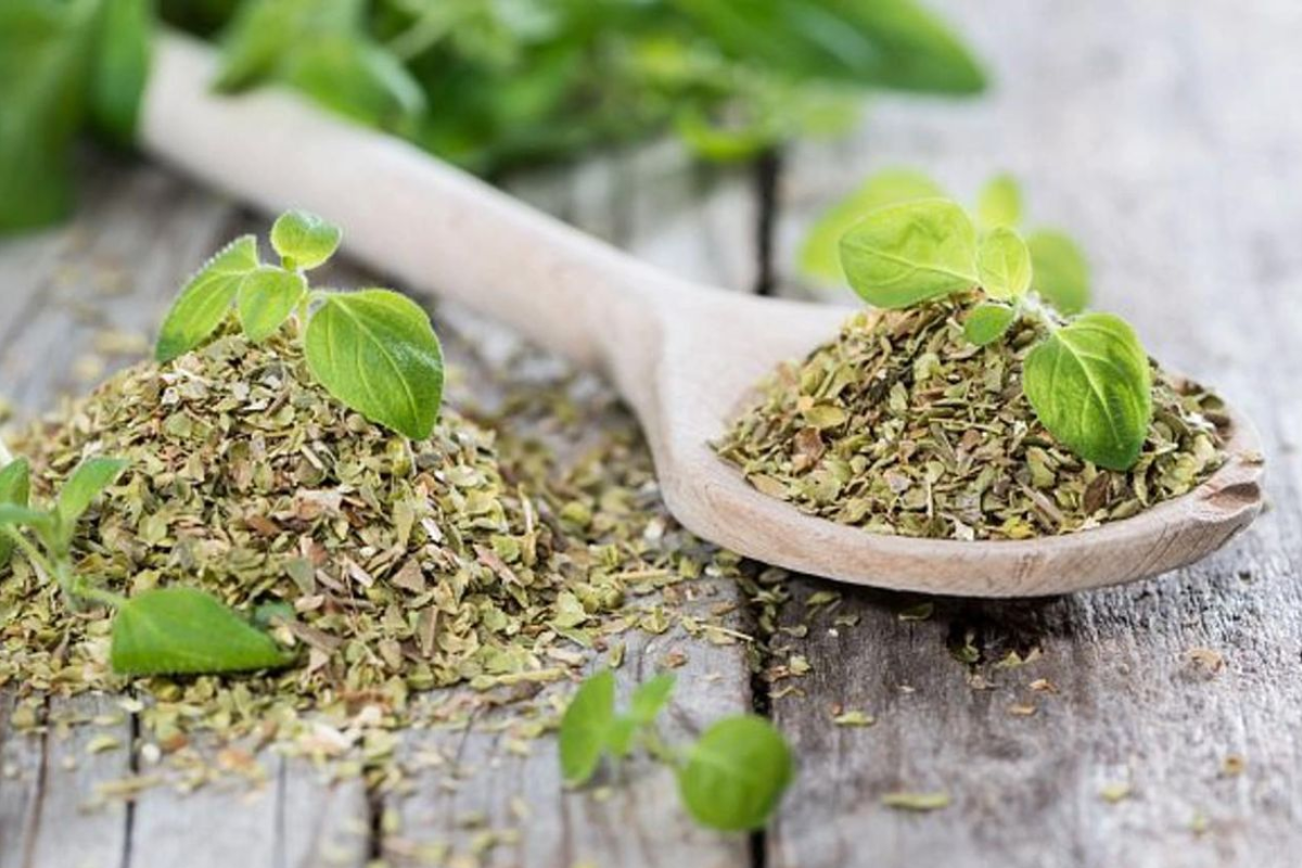 How To Make Oregano At Home: घर पर बनाएं फ्रेश ओरिगैनो - पिज़्ज़ा-पास्ता का स्वाद बढ़ाने वाला यह हर्ब अब घर में ही तैयार करें 1 घर पर ओरिगैनो कैसे बनाएं? (How Do I Prepare Oregano At Home?)
