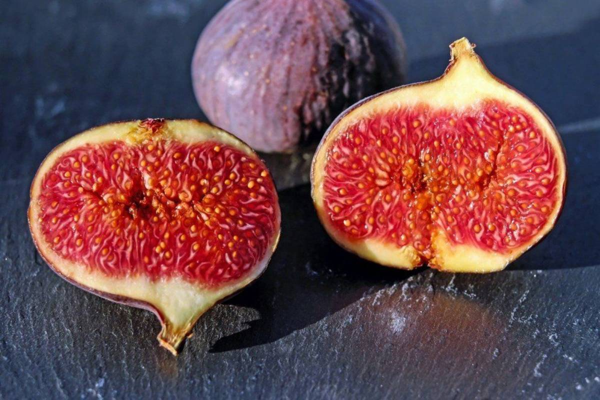 Best Fruiting Plant To Grow In February: फरवरी में लगाएं ये 5 फलदार पौधे, गर्मियों में घर बैठे मिलेंगे ताजे और स्वादिष्ट फल 5 Fig Tree