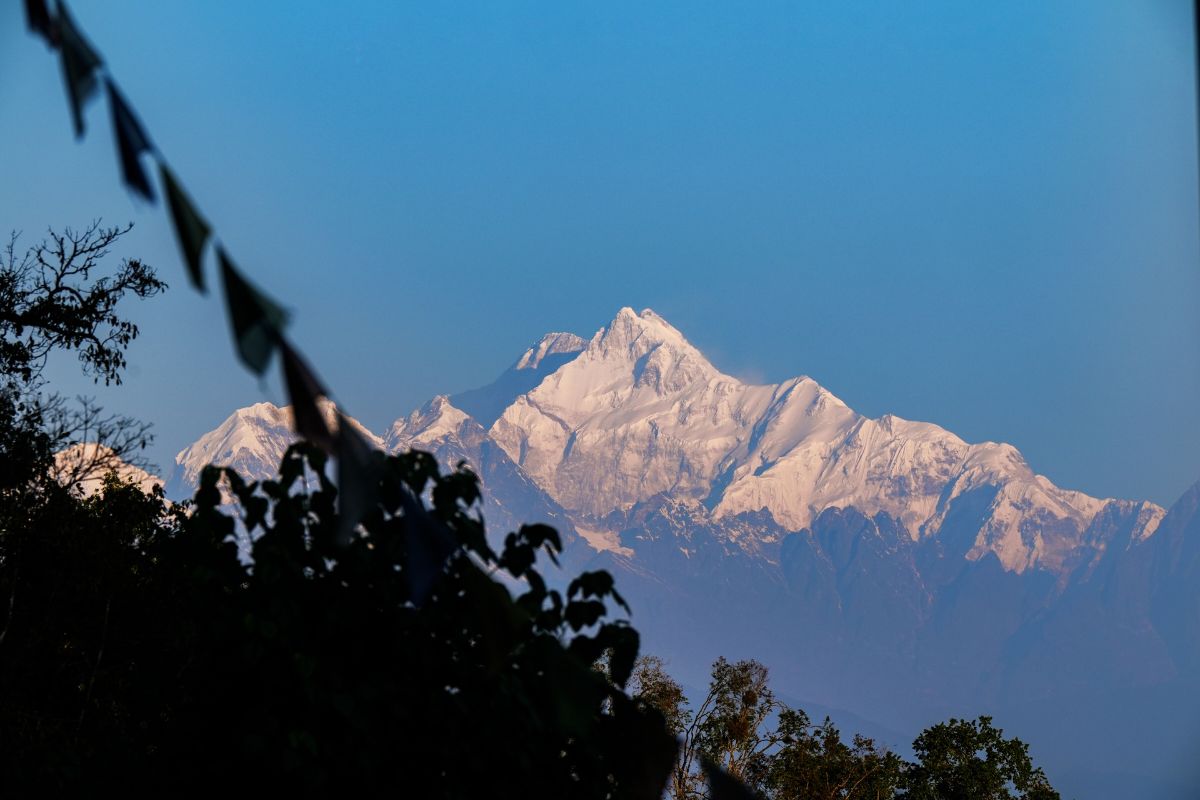 Happy New Year In Bengal News Today