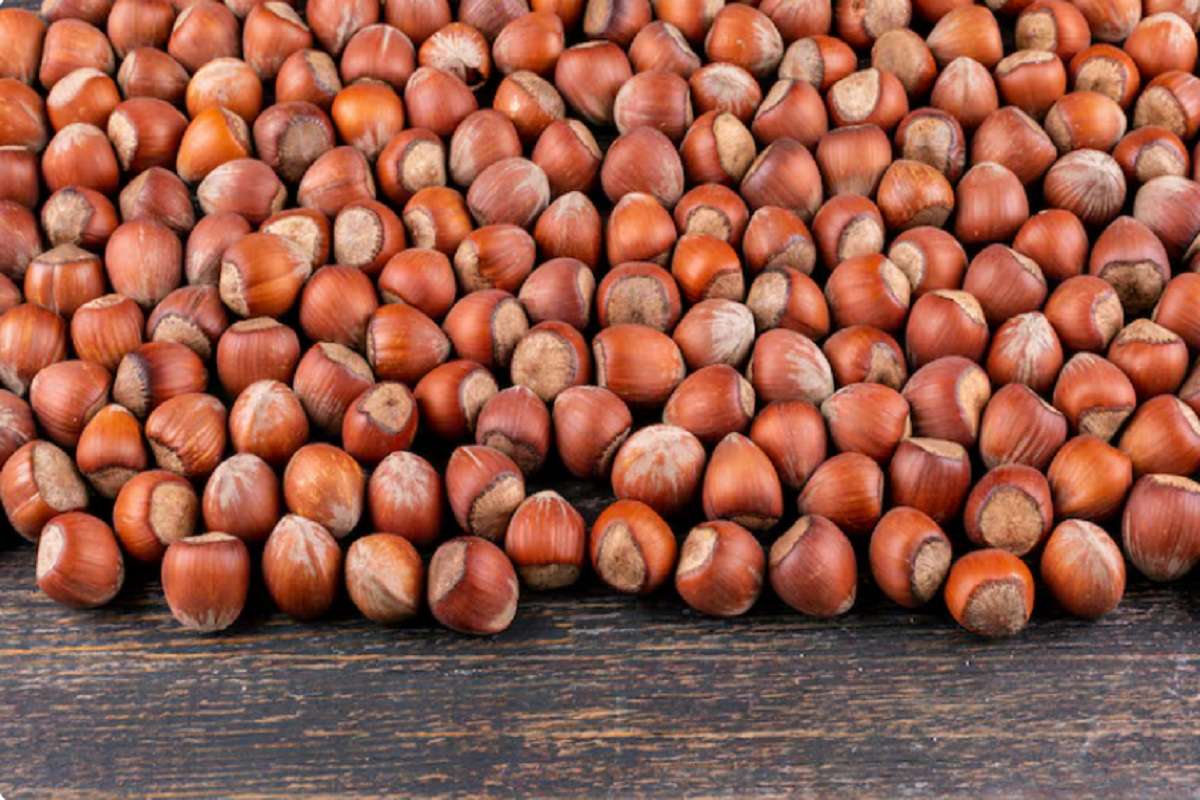 दिमाग में ‘एटम बम’ फोड़ देंगे इन ड्राई फ्रूट्स के दाम, कीमत जानकर रह जाएंगे हैरान 10 Hazel Nuts