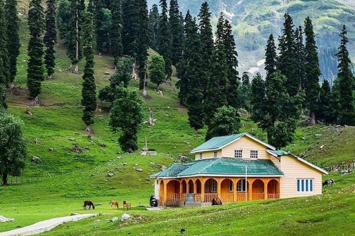 Valentine Week Special Tourist Destination: पार्टनर के साथ बिताएं सुकून के पल, ये हैं भारत की सबसे रोमांटिक और अनसुनी जगहें 4 Khajjiar Green Forest Valentine Week Special Tourist Destination