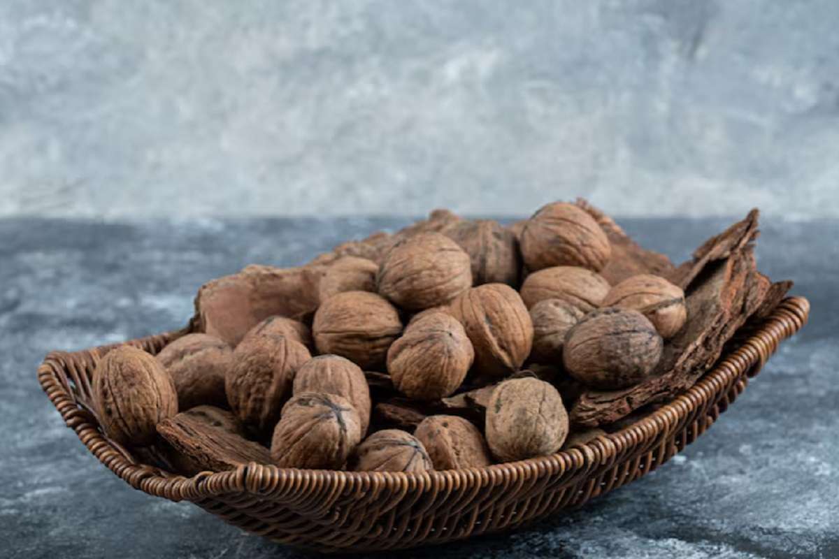 दिमाग में ‘एटम बम’ फोड़ देंगे इन ड्राई फ्रूट्स के दाम, कीमत जानकर रह जाएंगे हैरान 9 Pecan Nuts