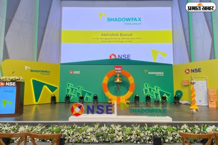 ग्रे मार्केट के दावे हुए फेल, जानिए शैडोफैक्स की सुस्त एंट्री के बाद क्या है एक्सपर्ट्स की राय?