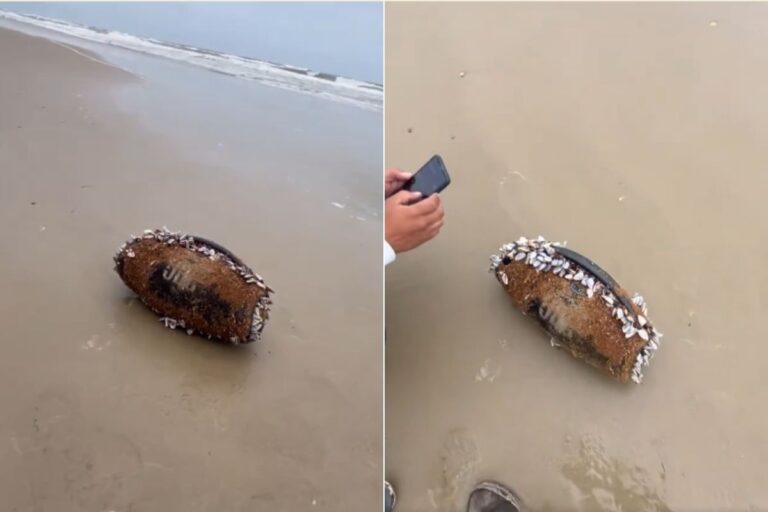 Viral Video: 3 महीने समुद्र में रहने के बाद भी JBL स्पीकर से बज रहा था गाना, वीडियो देख सोशल मीडिया यूजर्स रह गए दंग