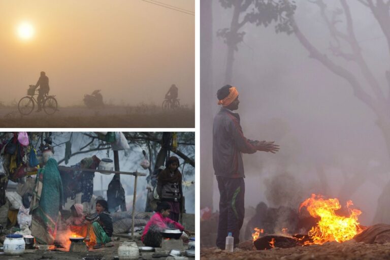 Weather Forecast: अगले 48 घंटे कोहरा और कड़ाके की ठंड, वीकेंड में मौसम का सितम, आईएमडी का अलर्ट जारी