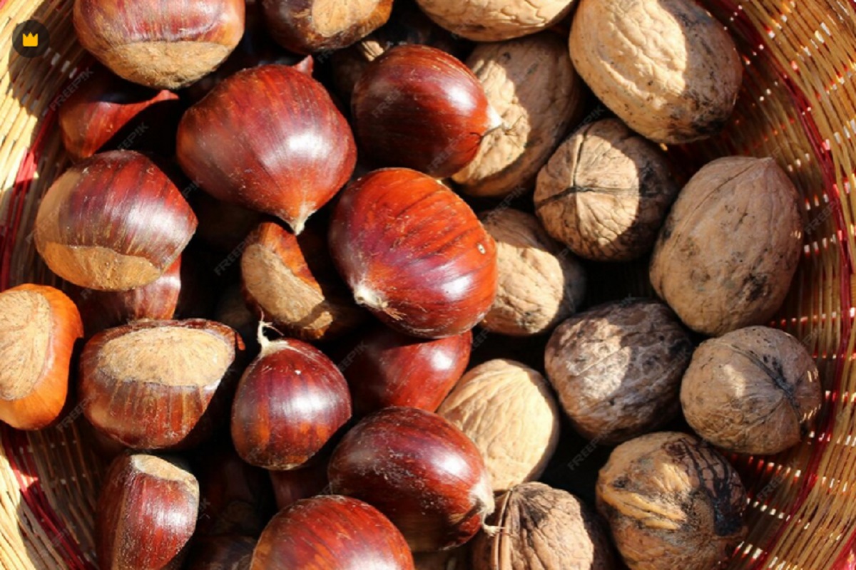 दिमाग में ‘एटम बम’ फोड़ देंगे इन ड्राई फ्रूट्स के दाम, कीमत जानकर रह जाएंगे हैरान 5 Chestnut