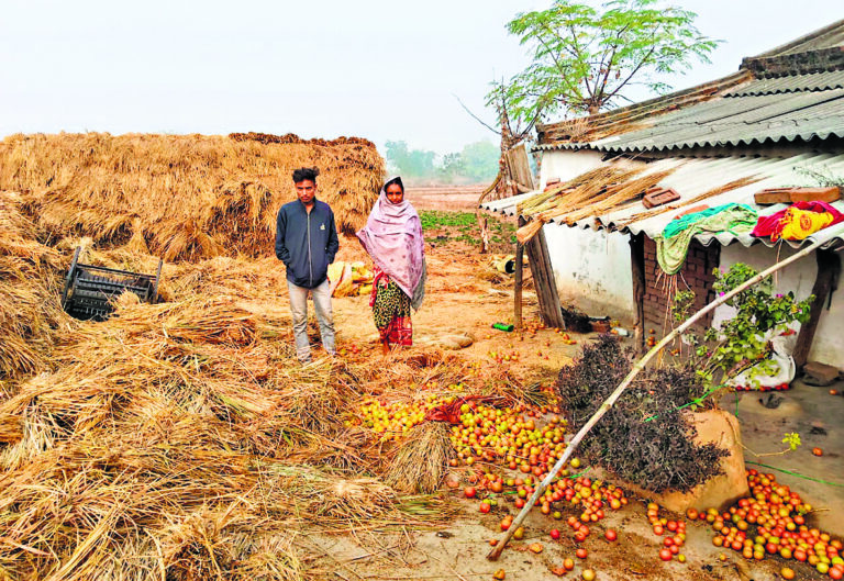 Seraikela Kharsawan News : कुकड़ू और बेरासीसिरुम में हाथियों का उत्पात, पीडीएस दुकान के चावल खा गये