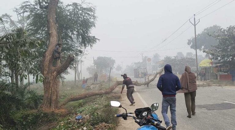 दिघरी चौक पर सूखे शीशम का पेड़ हटाया, टला हादसा