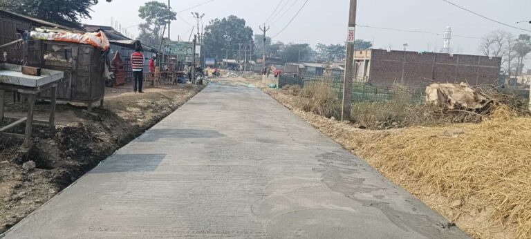 दिघौन गांव में पीसीसी निर्माण में अनियमितता की जांच की मांग