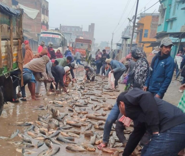 सड़क हादसे में जहां छात्र ने दम तोड़ा, वहीं मछलियों के लिए मची रही लूट