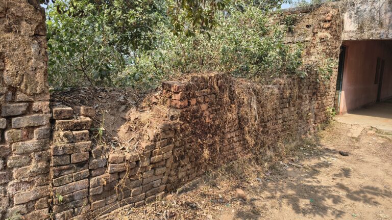 टूटी चहारदीवारी से स्कूल परिसर में घुसा था लकड़बग्घा