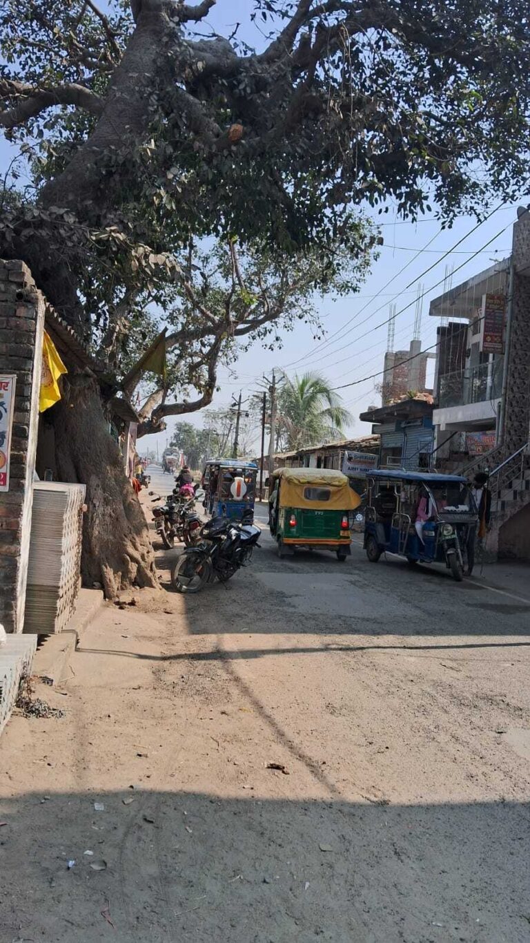 बाजार में जर्जर पाकड़ वृक्ष से जन-सुरक्षा को खतरा, वन विभाग से त्वरित कार्रवाई की मांग