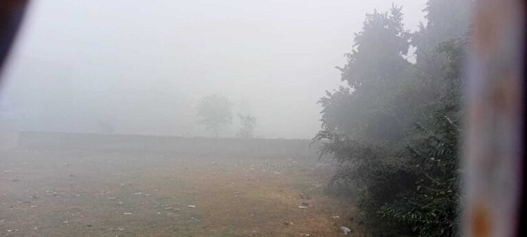 कोहरे ने बढ़ा दी ठंड, दोपहर में मिली राहत