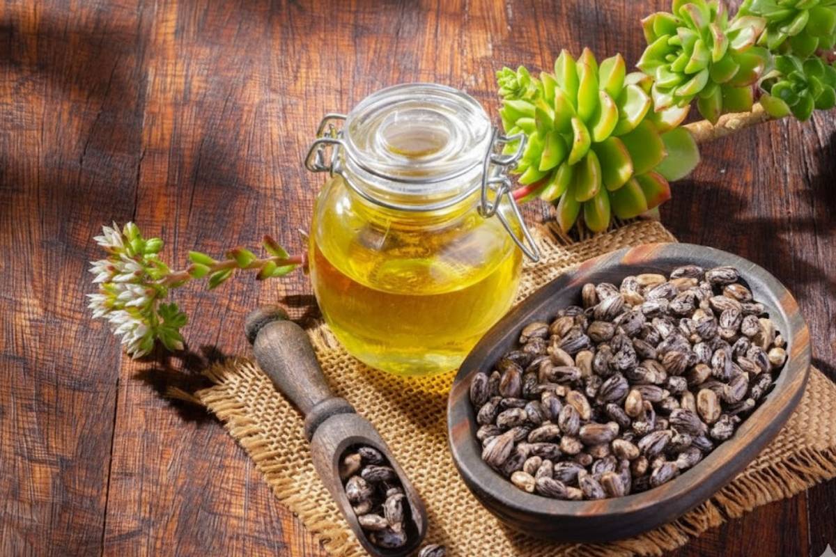 Castor Oil Benefits For Skin: चेहरे पर लगाएं कैस्टर ऑयल और देखें कमाल - दाग-धब्बे, ड्रायनेस और झुर्रियां होंगी दूर 2 Castor Oil Image