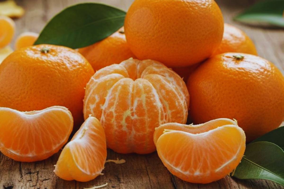 Orange Jam Recipe: घर पर बनाएं टेस्टी और फ्रेश ऑरेंज जैम बिना प्रिज़र्वेटिव के 1 Fresh Oranges Image